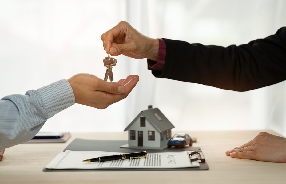 Property & To-let